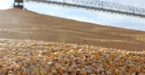 Current Grain Prices: Landus Cooperative. . Landus grain bids